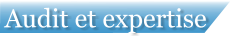 Audit et expertise