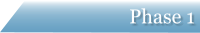 Phase 1