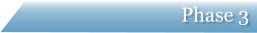 Phase 3